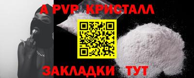 шишки Аргун