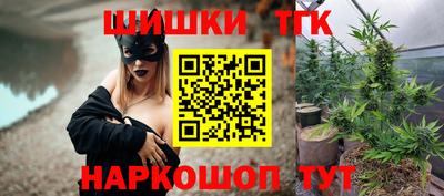 шишки Аргун