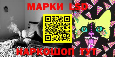 шишки Аргун