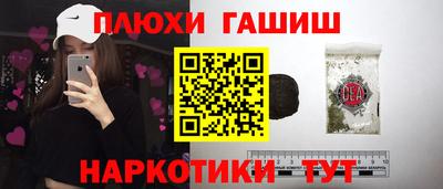 шишки Аргун